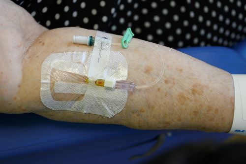 Photograph of a cannula